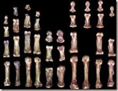 Mana unui om modern stanca si o mana unui om de Neanderthal dreapta Mana unui om modern stanca si o mana unui om de Neanderthal dreapta