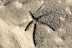 Natura :: Img0870.jpg