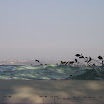 kinmen_099.jpg