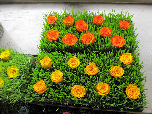 More freeze-dried roses.