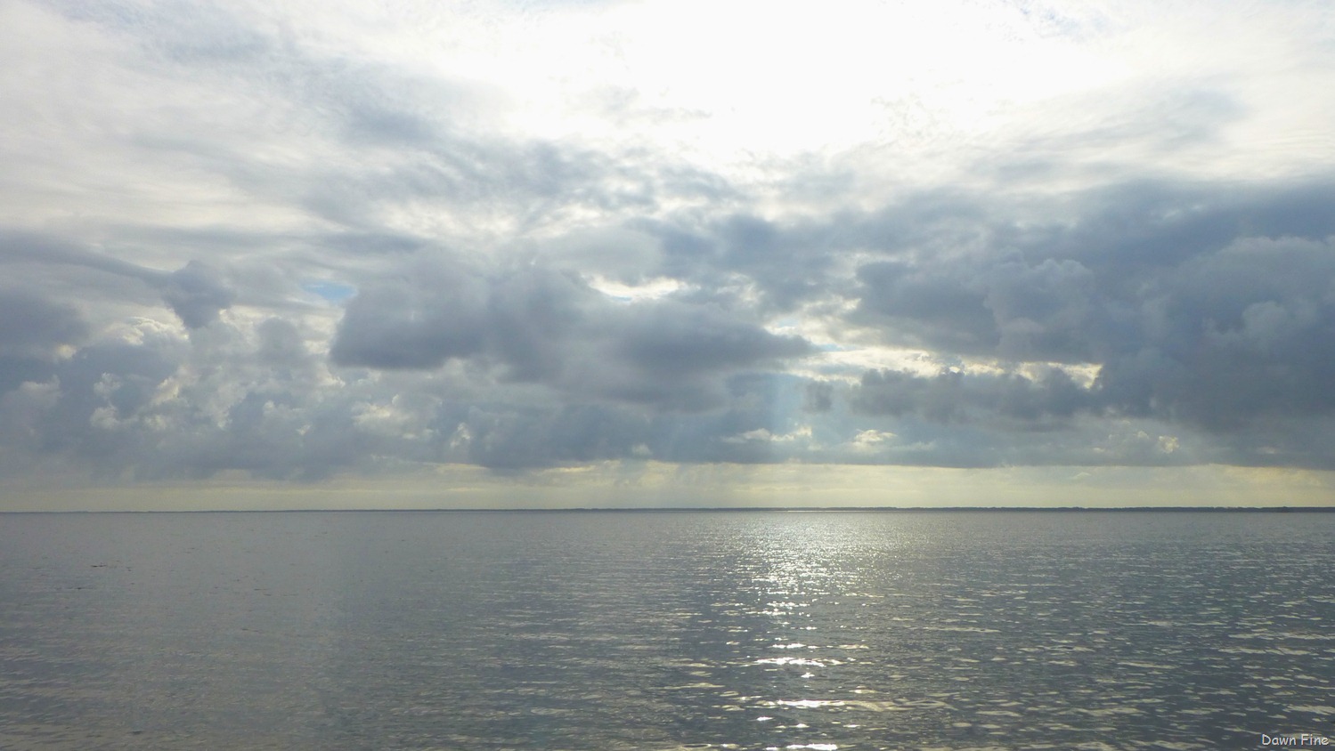 [Mattamuskeet%2520NWR_015%255B8%255D.jpg]