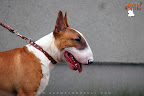 Karmacoma Fun-Da-Panda 7 months