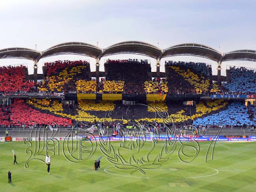 2007-05-26_lyon-fcn1_n_cp.jpg