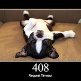 408.jpg