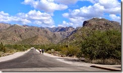 Tucson Sabino Canyon 002 Tucson Sabino Canyon 002
