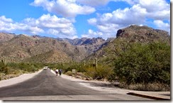 Tucson Sabino Canyon 002