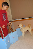 IMG_0026-10.JPG