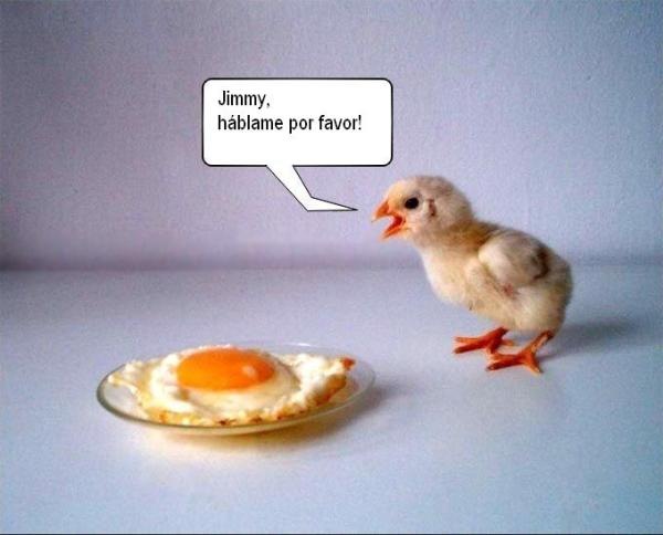 [pollo-huevo-triste-inconsciente%255B4%255D.jpg]