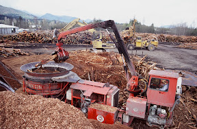 The Producers - This Hermann Brothers Logging Company tub grinder is working in a log merchandising yard near Port Angeles, Washington. It's a good example of the effort underway today to recover every penny of value from every tree that is harvested from industrial timberlands on the Olympic Peninsula. Nothing is wasted: not treetops, not bark or even limbs. If it comes out of the woods on a truck, this company will find a way to process and market it.