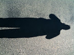 Jun 3 - Photographer's shadow