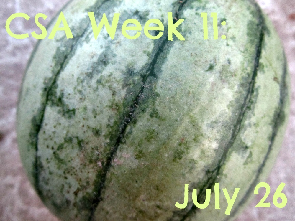 [watermelon%255B4%255D.jpg]