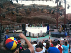 global_dance_festival_-_2010