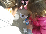 2012-01-27 15.13.49.jpg