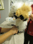 Hey Sanu, could you please be a little more gentle with that tangle?