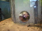 Zoo