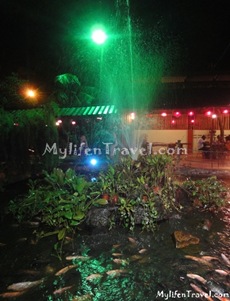 Mae Salong Restaurant 18 Mae Salong Restaurant 18