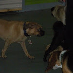DSCN3442.jpg
