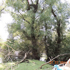 DSCN9687.JPG