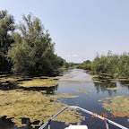 DSCN8323.JPG