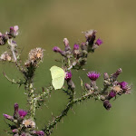 photoIMG_3756.jpg
