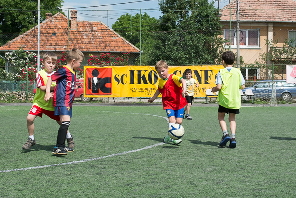 ovifoci-22.JPG