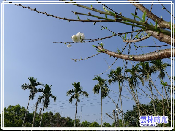 a020.jpg