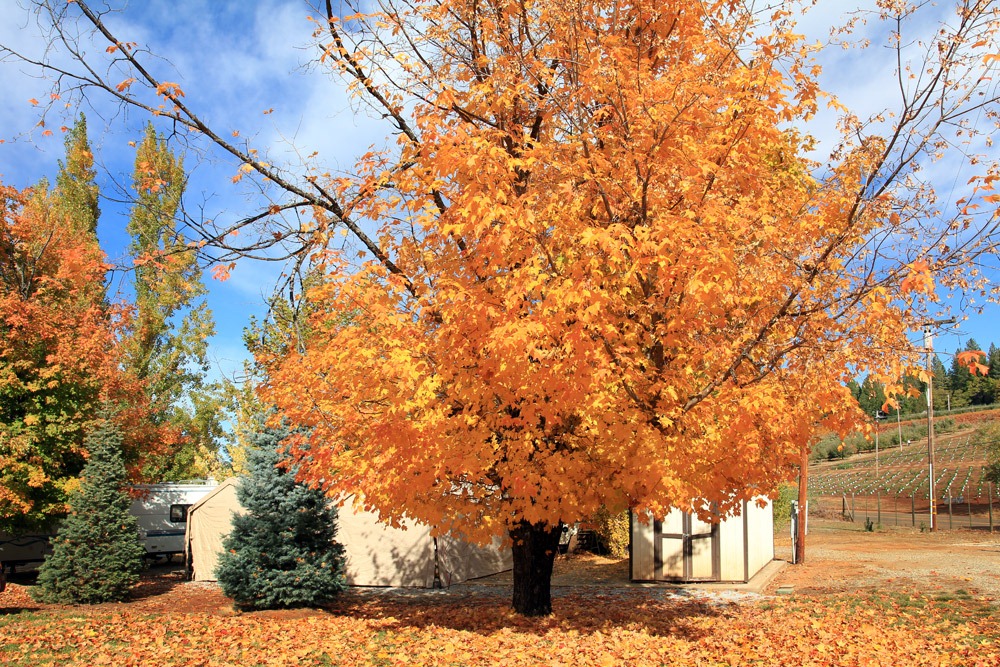 [121103_AppleHill_52%255B10%255D.jpg]