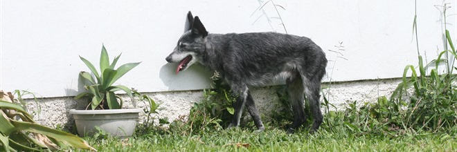 IMG_2549 IMG_2549