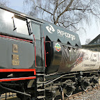 PL-Cur  1722_E.JPG
