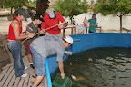 p1295964877(7).jpg