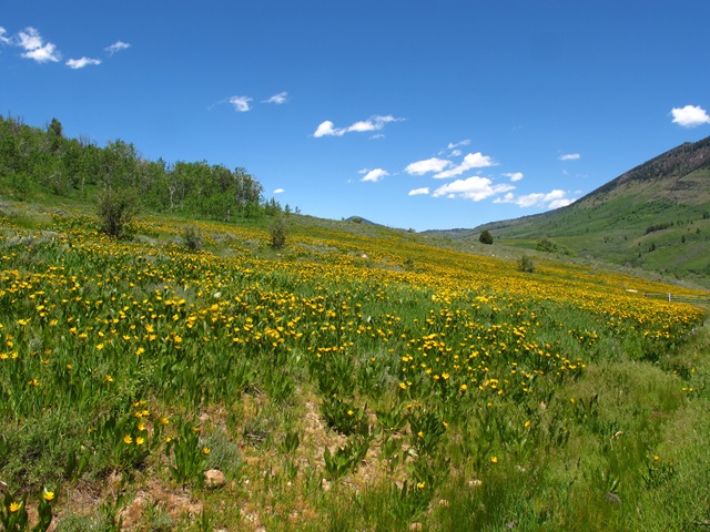 Logan Canyon Ride 018