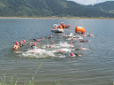 IMG_1416.jpg