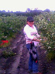 IMG0022A.jpg