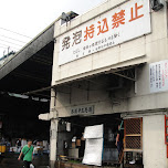 tsukiji fish market in Tokyo, Japan 