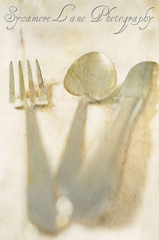 [forkandspoon11.jpg]