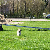 Aidan billeder fra Susanne