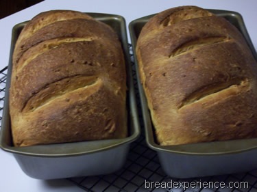 [sprouted-emmer-bread%2520037%255B1%255D.jpg]
