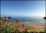 Visit the Stunning Cornish Coast and Beaches