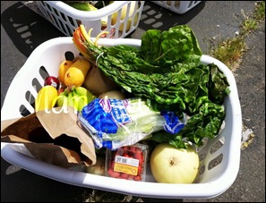 Bountiful basket