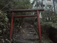 DSC_0068.JPG Photo