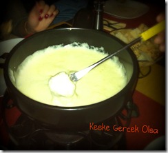 IMG_0133 IMG_0133