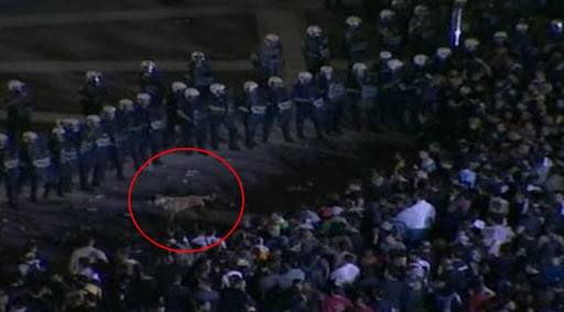 And he is often seen on the front lines... And he is often seen on the front lines...