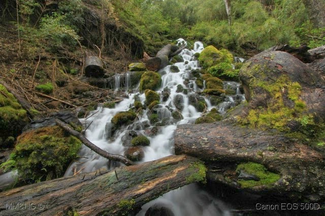 [IMG_2715%255B12%255D.jpg]