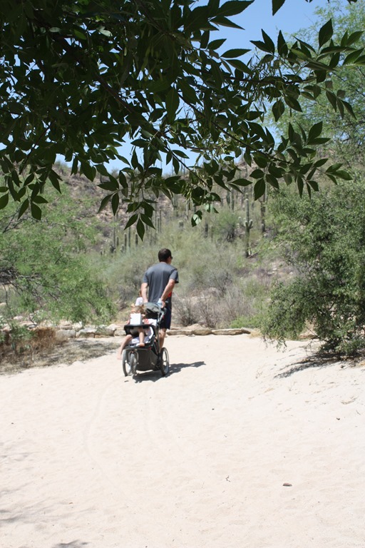 [sabino-canyon-0945.jpg]