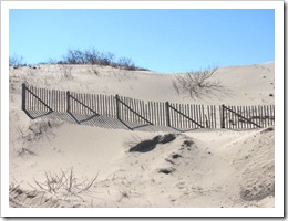 3.22.2012 Provincetown fence and dunes