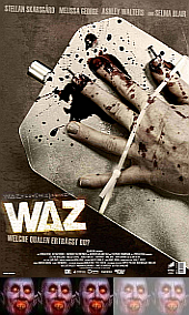 waz C waz C