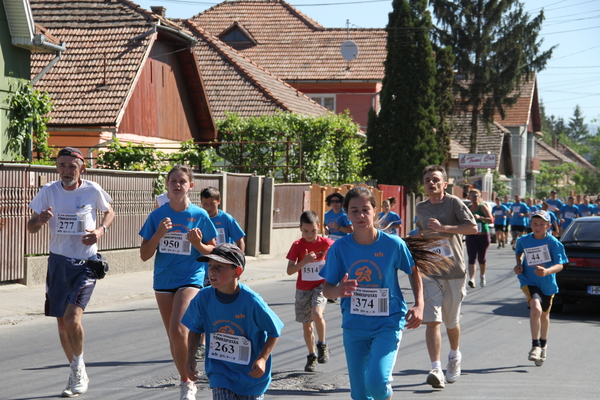 tomegfutas_2013_4187.jpg