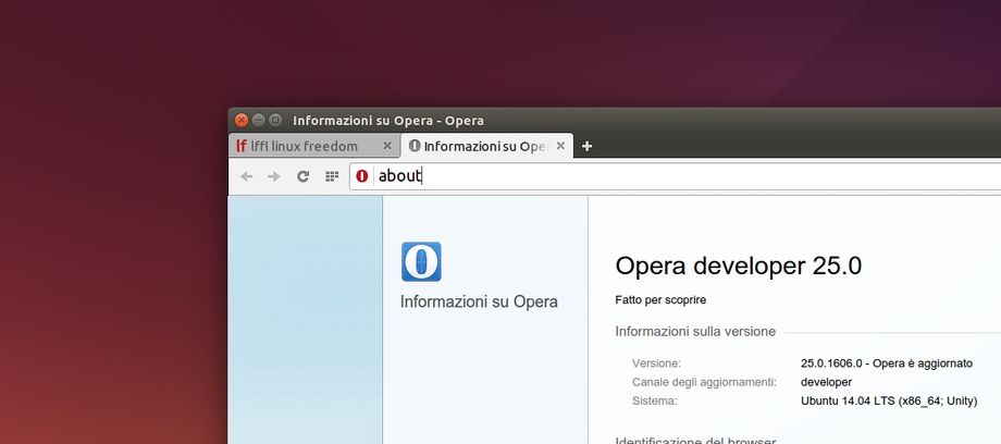 Opera 25 Developer 