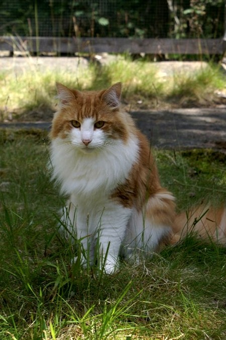 [oskar%25202%255B4%255D.jpg]