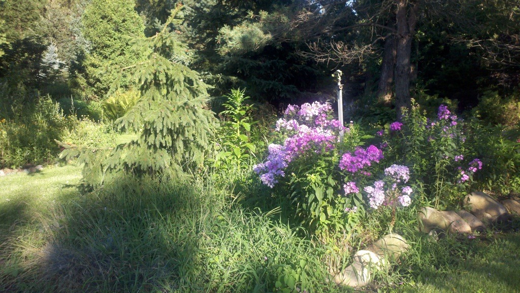 [2011-07-31_18-49-18_576%255B4%255D.jpg]